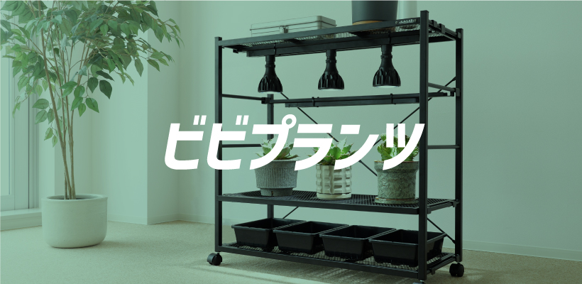 ビビプランツ