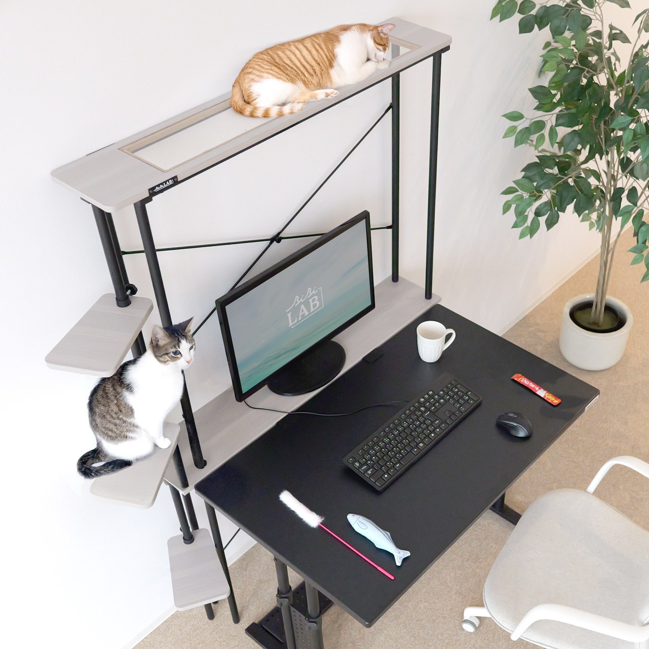 猫タワーラック LCR-1000 | BIBILAB®