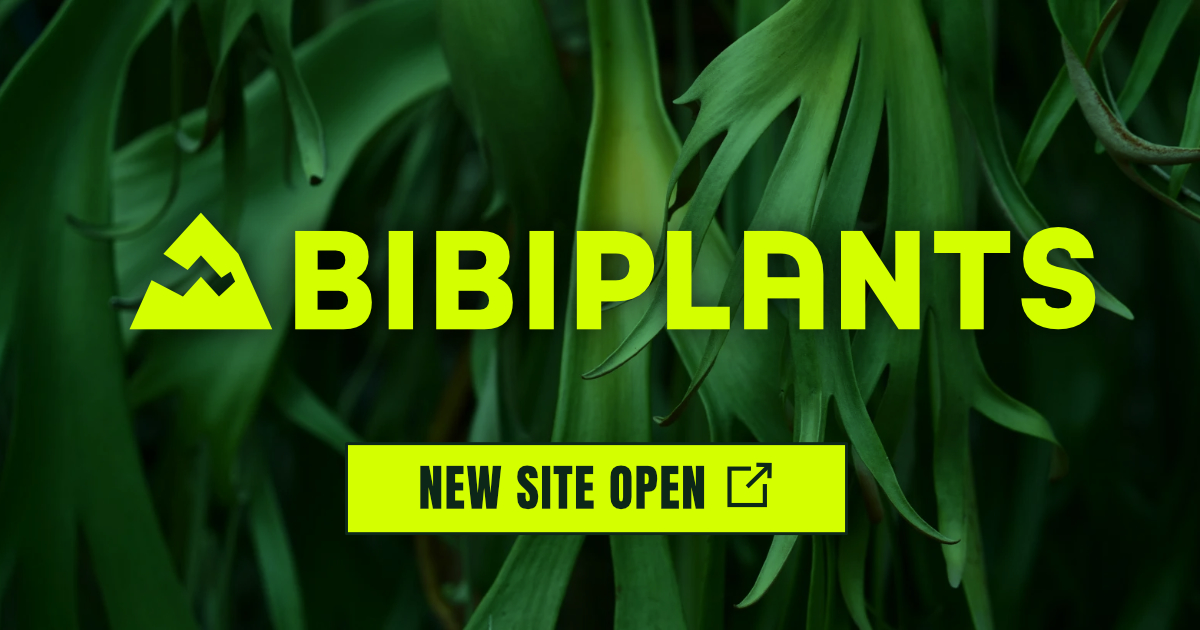 BIBIPLANTS独立